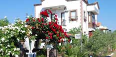 Neos Butik Otel - Cunda Adası